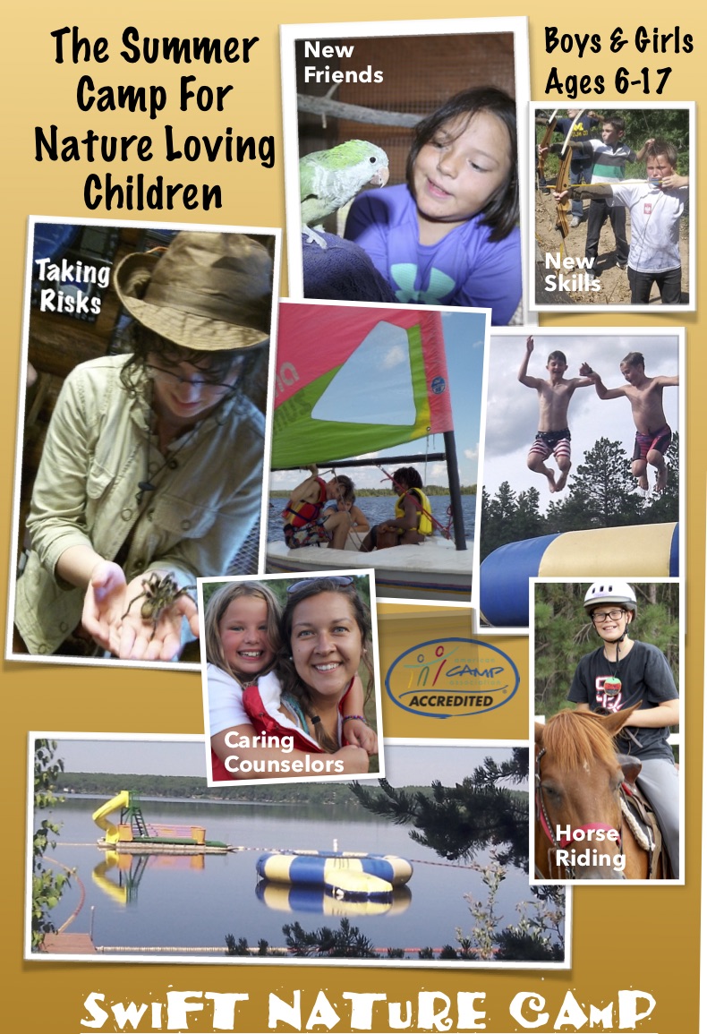 Environmental Education Learning Camp in MN