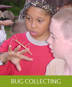 p198hckv8k1nmpa9e1sl1hn41b0r4 p198hckv8k1nmpa9e1sl1hn41b0r4