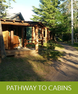 p19ccjgml71f6qvko1te819l3u6q8 p19ccjgml71f6qvko1te819l3u6q8