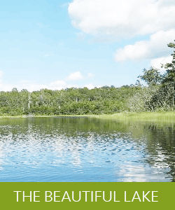 p19ccjiggeutt7ohoterp21jolb p19ccjiggeutt7ohoterp21jolb