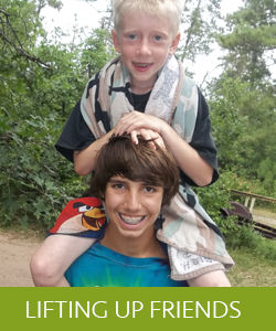 p19basoarohg71kis1ps31tta1ibb4 p19basoarohg71kis1ps31tta1ibb4