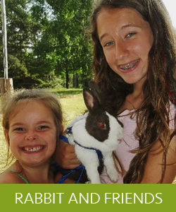 p198o7pas91c2h6gmn2a5fa13sg4 p198o7pas91c2h6gmn2a5fa13sg4