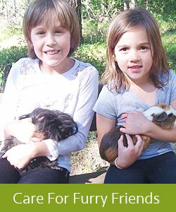 Care_For_Furry_Friends Care_For_Furry_Friends
