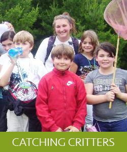 catchingcritters catchingcritters